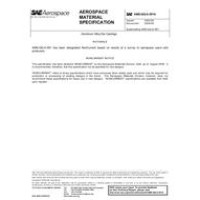 SAE AMSQQA591A