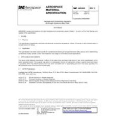 SAE AMS2658C SAE AMS2658C