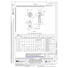 SAE AS21153E SAE AS21153E