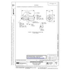 SAE AS4309C SAE AS4309C