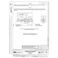 SAE AS21938B SAE AS21938B