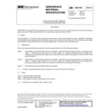 SAE AMS2759/7B SAE AMS2759/7B