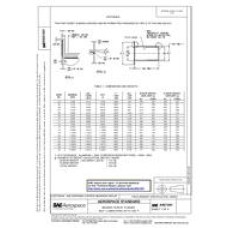SAE AS21241 SAE AS21241