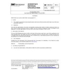 SAE AMS2431/2E SAE AMS2431/2E
