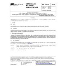 SAE AMS4154P SAE AMS4154P