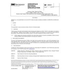 SAE AMS4613 SAE AMS4613