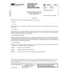 SAE AMS6447G SAE AMS6447G