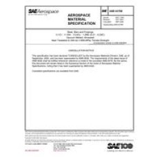 SAE AMS6478B SAE AMS6478B