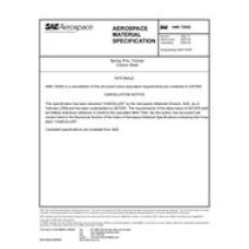 SAE AMS7205G SAE AMS7205G