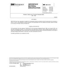 SAE AMS7241C