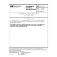 SAE AMS7817B SAE AMS7817B