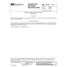 SAE AMS7905C SAE AMS7905C