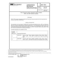 SAE AMST7081A SAE AMST7081A