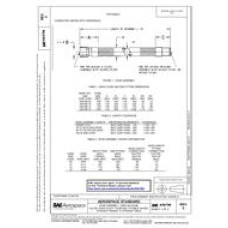 SAE AS4796C SAE AS4796C
