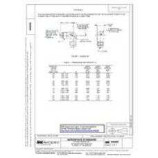 SAE AS6099