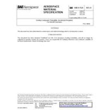 SAE AMSS7124B SAE AMSS7124B