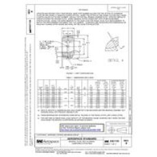 SAE AS21155B SAE AS21155B