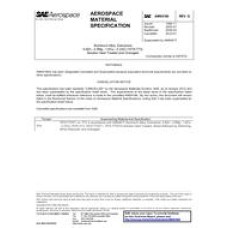 SAE AMS4166G SAE AMS4166G