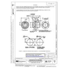 SAE AS34041B SAE AS34041B