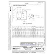 SAE AS21232A SAE AS21232A
