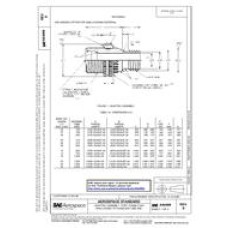 SAE AS4099D SAE AS4099D