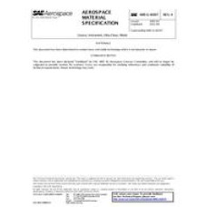 SAE AMSG81937A SAE AMSG81937A