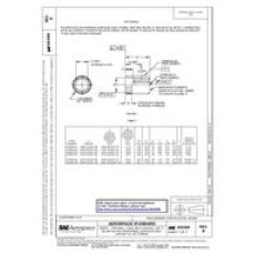 SAE AS3505B SAE AS3505B
