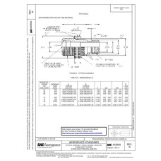 SAE AS5550B SAE AS5550B