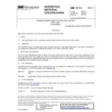 SAE AMS7851D SAE AMS7851D