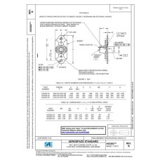SAE AS3262B SAE AS3262B