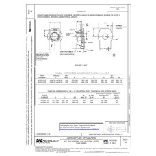 SAE AS3261A SAE AS3261A