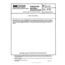 SAE AMS3788B SAE AMS3788B