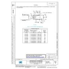 SAE AS3129B SAE AS3129B