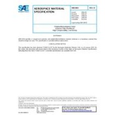SAE AMS3843D SAE AMS3843D