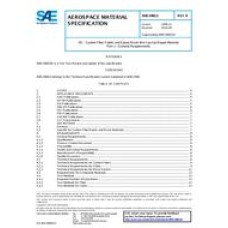 SAE AMS2980/1B SAE AMS2980/1B
