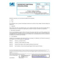 SAE AMS6491E SAE AMS6491E