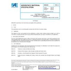 SAE AMS6365K
