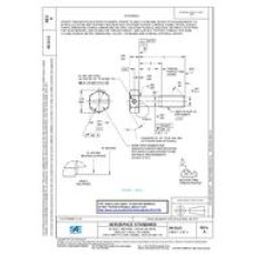 SAE AS3113A SAE AS3113A