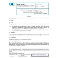 SAE AMS5629/H1000