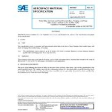 SAE AMS5667N SAE AMS5667N