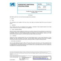 SAE AMS7906D