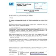 SAE AMS7906D SAE AMS7906D