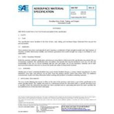 SAE AMS7907D SAE AMS7907D