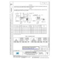 SAE AS21447B SAE AS21447B