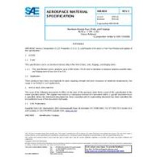 SAE AMS4634C SAE AMS4634C