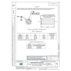 SAE AS3619B SAE AS3619B