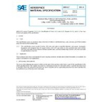 SAE AMS4117K