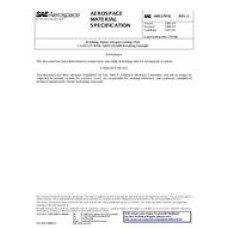 SAE AMS3797/6C SAE AMS3797/6C