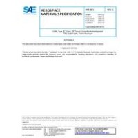SAE AMS3821C SAE AMS3821C