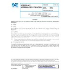 SAE AMS6419H
